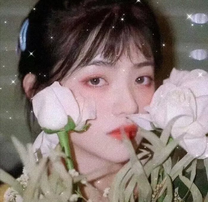 美丽的笨女人